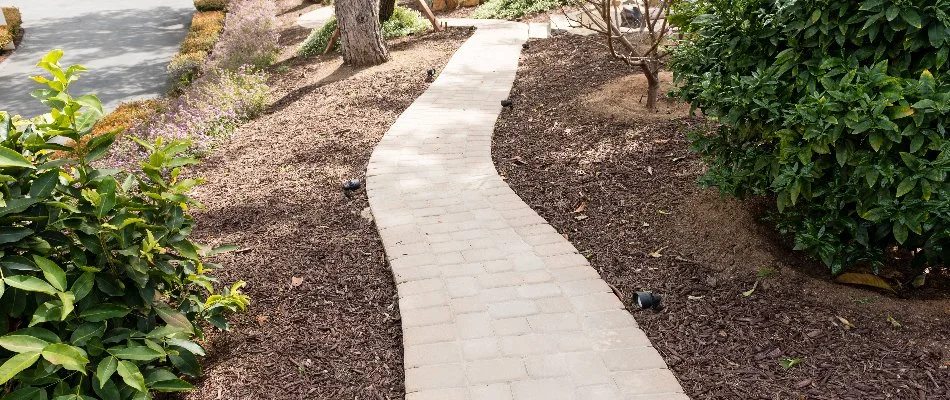 A walkway going through a landscape in Encinitas, CA.