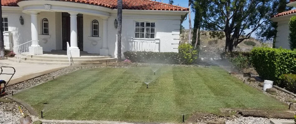 Artificial turf installed on a lawn. 