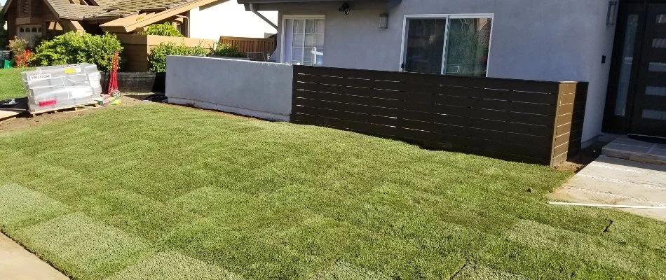 Sod that was just installed on a property in Encinitas, CA.