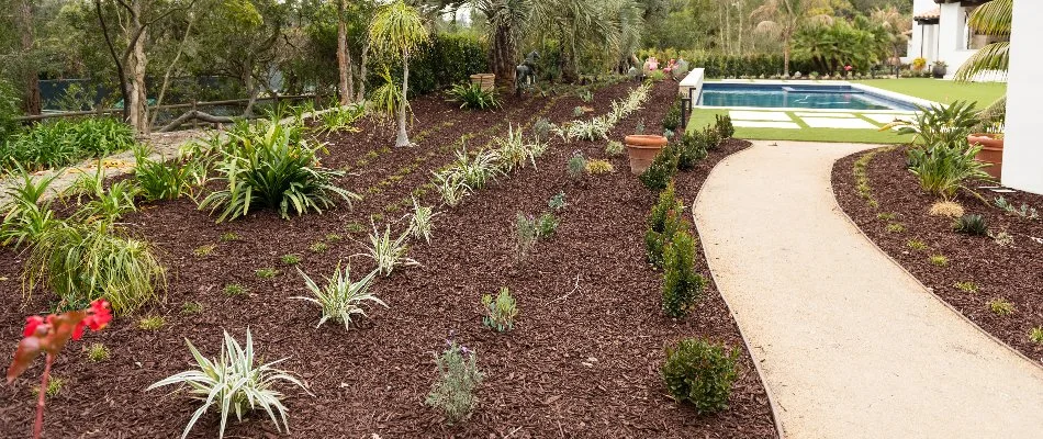 A landscape in Encinitas, CA, with plants and mulch.