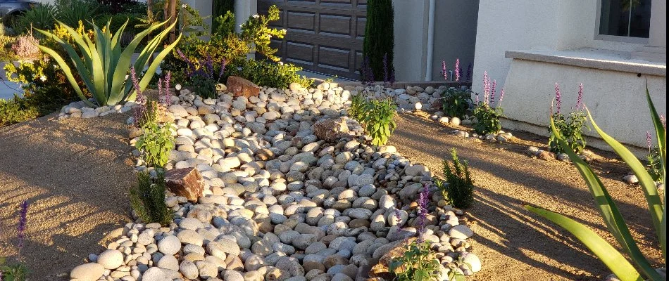 A rock landscape with plants in Encinitas, CA.