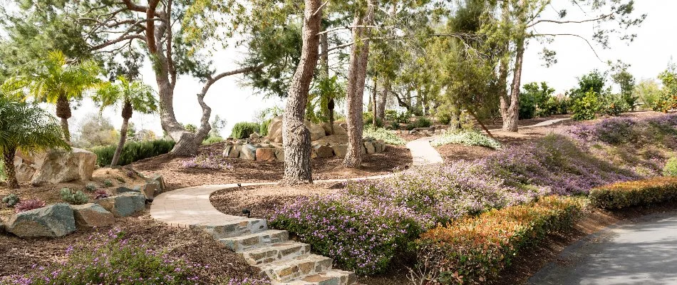 Trees and landscaping on a property in Encinitas, CA.