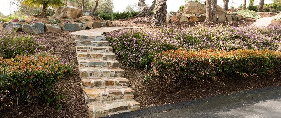 Outdoor steps in Encinitas, CA.