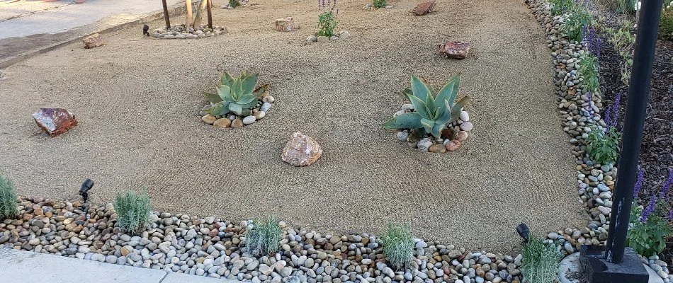 Xeriscaping for a home in Encinitas, CA.