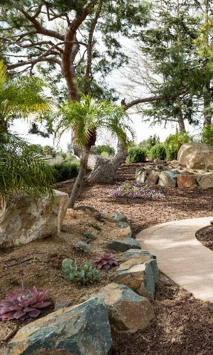 Home backyard path with landscaping in Carlsbad, CA.